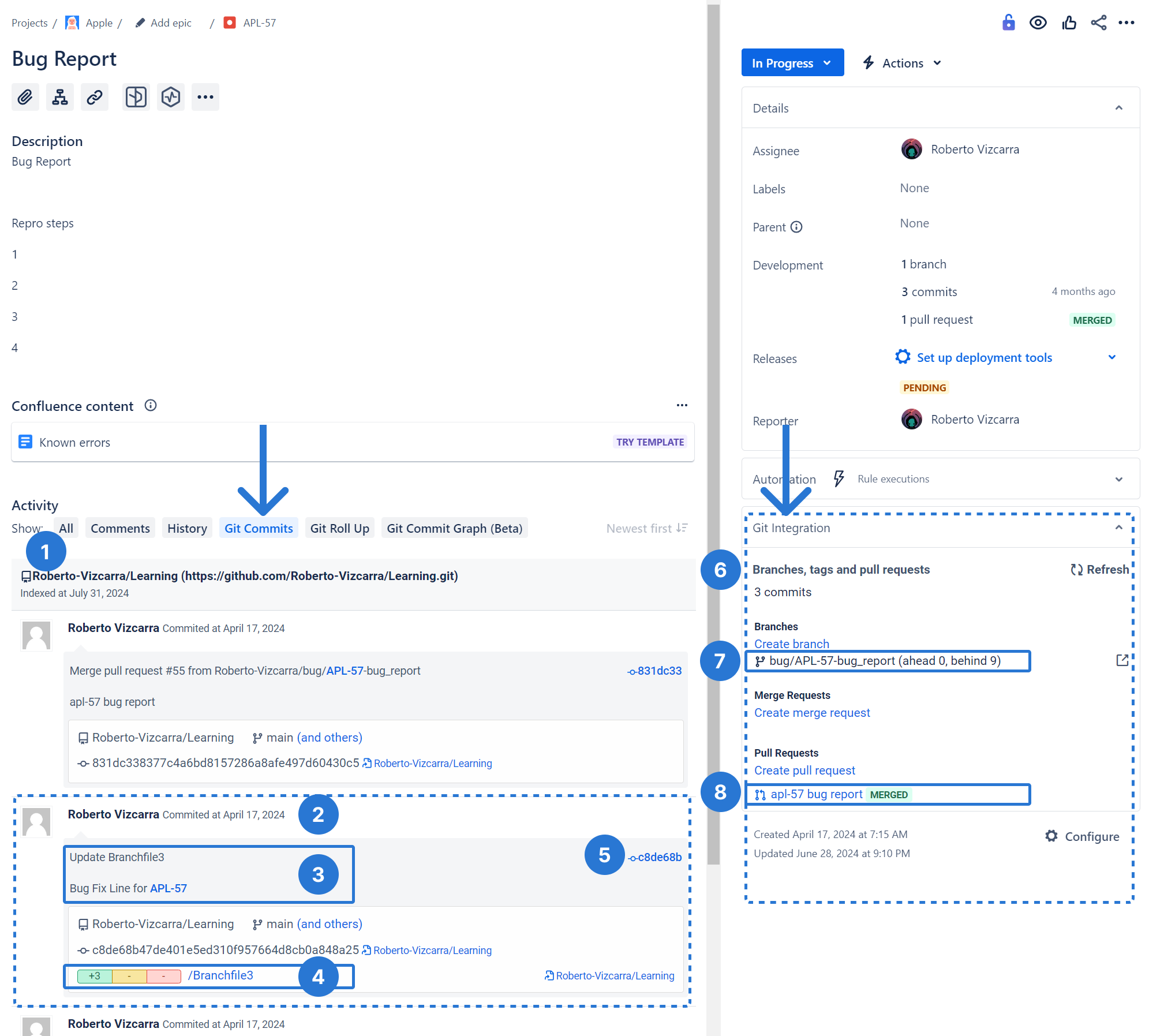 Jira Issue View