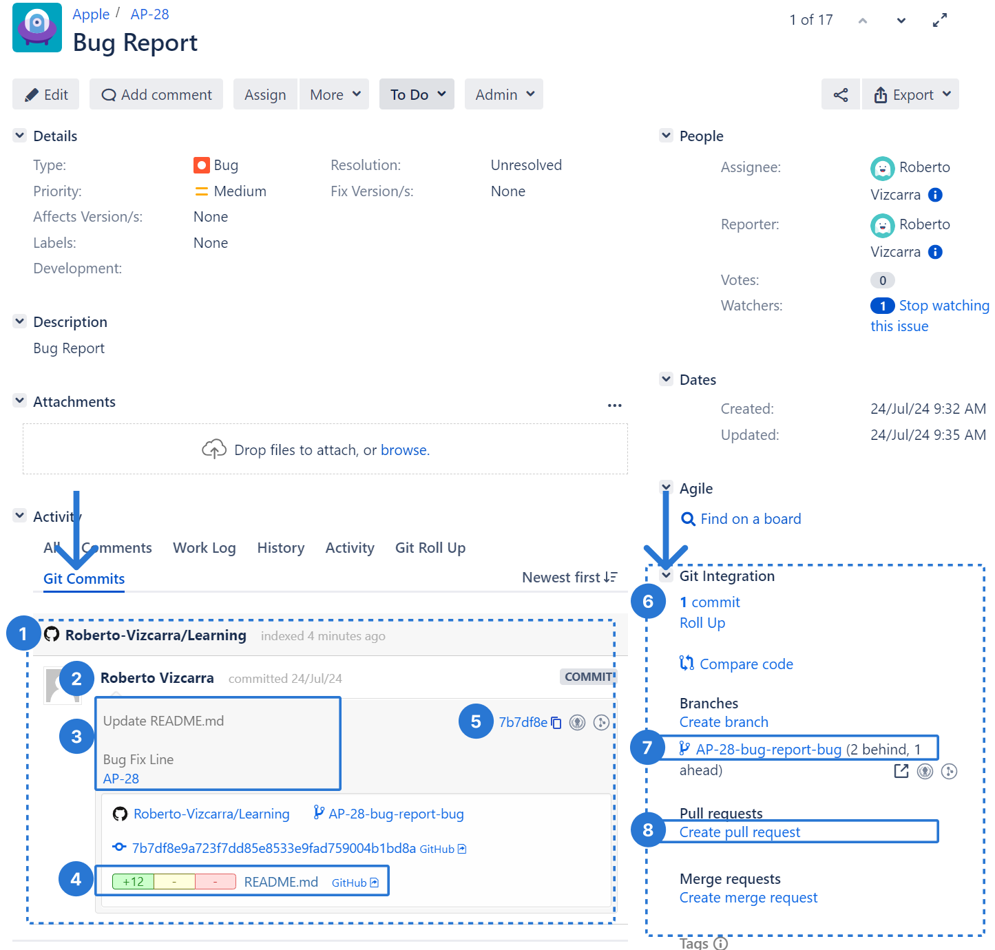 Jira Issue View