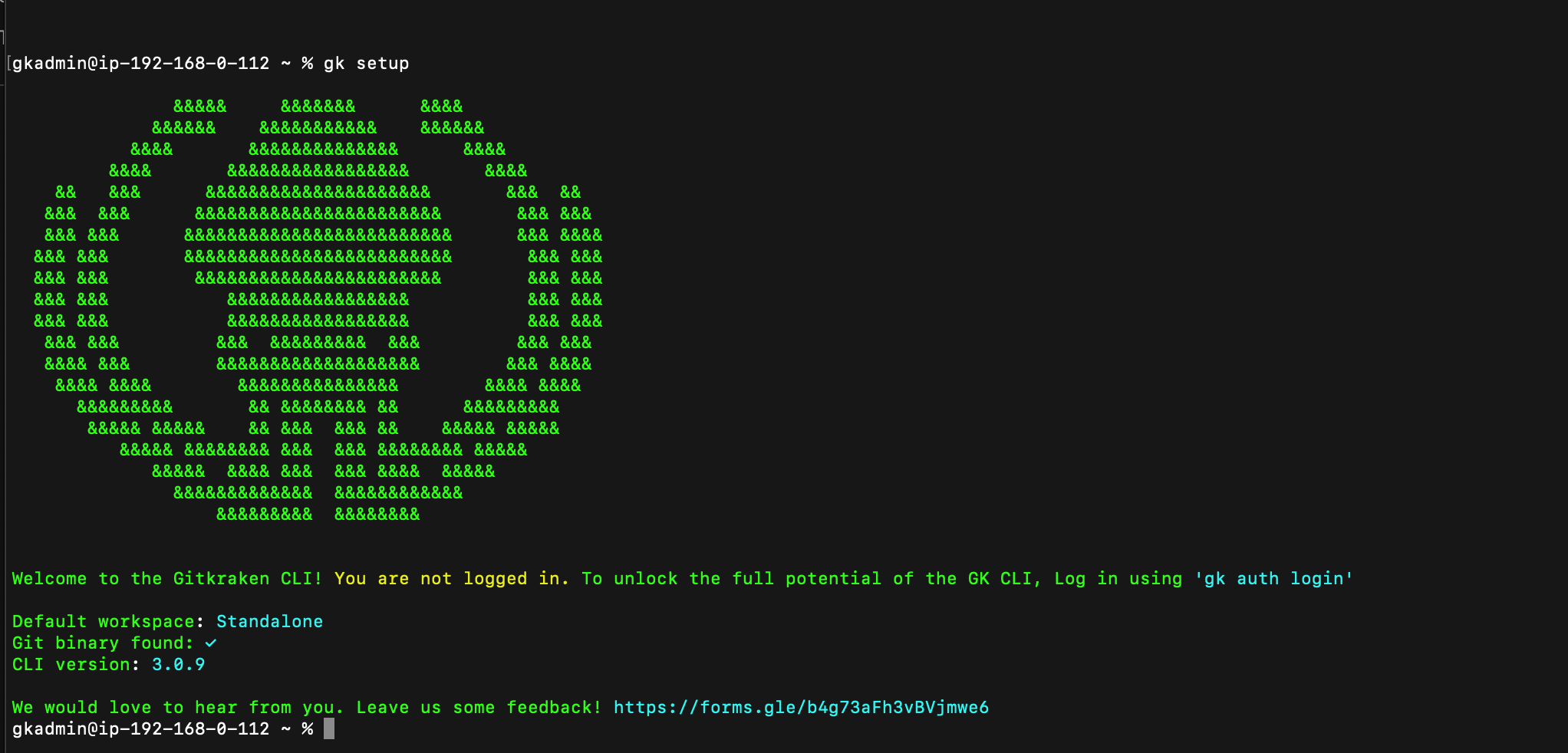 Screenshot of the GitKraken CLI setup screen