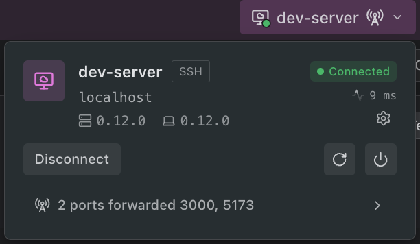 The dev-server chip with a radio-tower glyph after its name, and its popover open with a row reading 2 ports forwarded 3000, 5173.